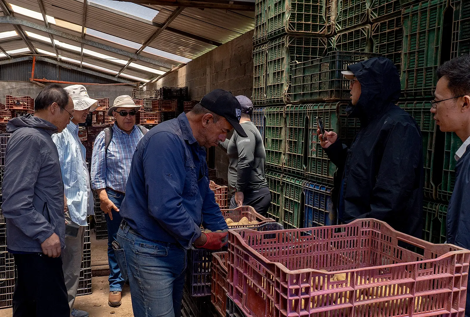 Una delegación conjunta de la Universidad de Qinghai y de la Universidad Agrícola de Yunnan visitaron la Universidad de Costa Rica para establecer los vínculos internacionales en investigación agrícola, particularmente en el cultivo de la papa. Foto: Rolando Hidalgo Solís. Delegación de universidades chinas en sembradío de papas