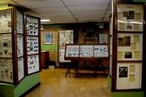 Museo de Insectos
