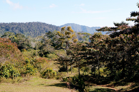 Foto Cordillera Talamanca