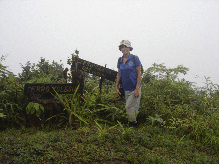 El Cerro Yglesias es el punto más elevado en Isla del Coco (foto cortesía Mary Luz Moreno Díaz).