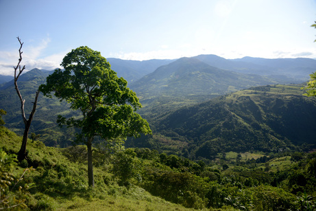 Territorio indígena Cabagra