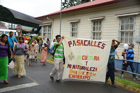 Participación indígena