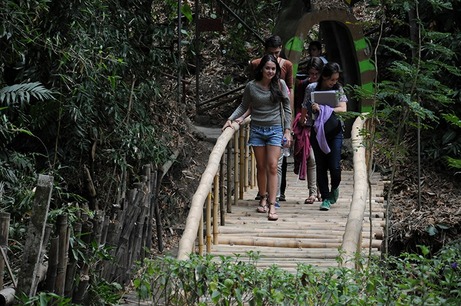 Caminatas por el bosque