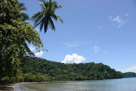 Playa Cativo