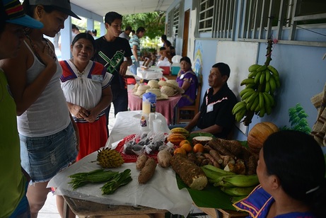 Comidas tradicionales Nutrición