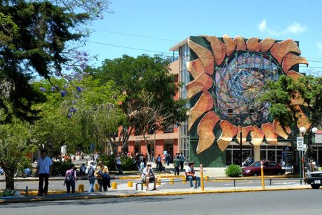 Universidad humanista