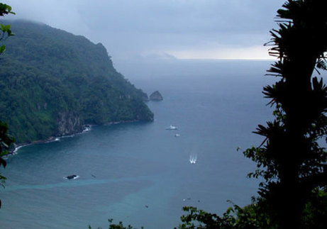 En Costa Rica se han observado importantes mantos de rodolitos en la Isla del Coco (foto Anel …