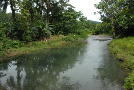 Rio en Golfito