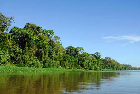 Tortuguero