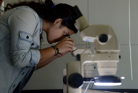 Campamentos ciencias básicas