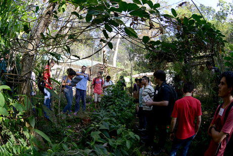 Campamentos ciencias básicas