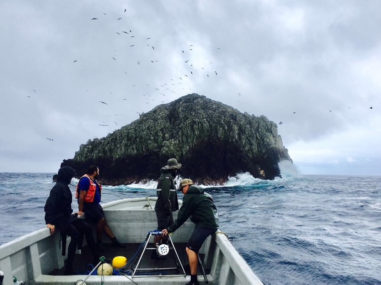 Para realizar el monitoreo en las aguas de la Isla del Coco, los biólogos utilizan cámaras …