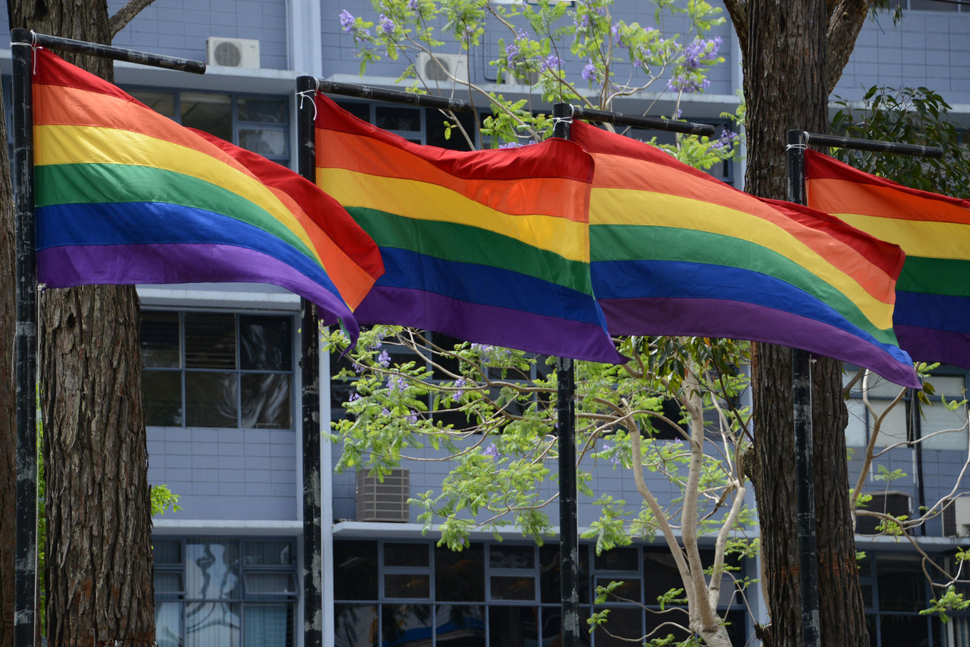 Banderas de la diversidad en el campus universitario