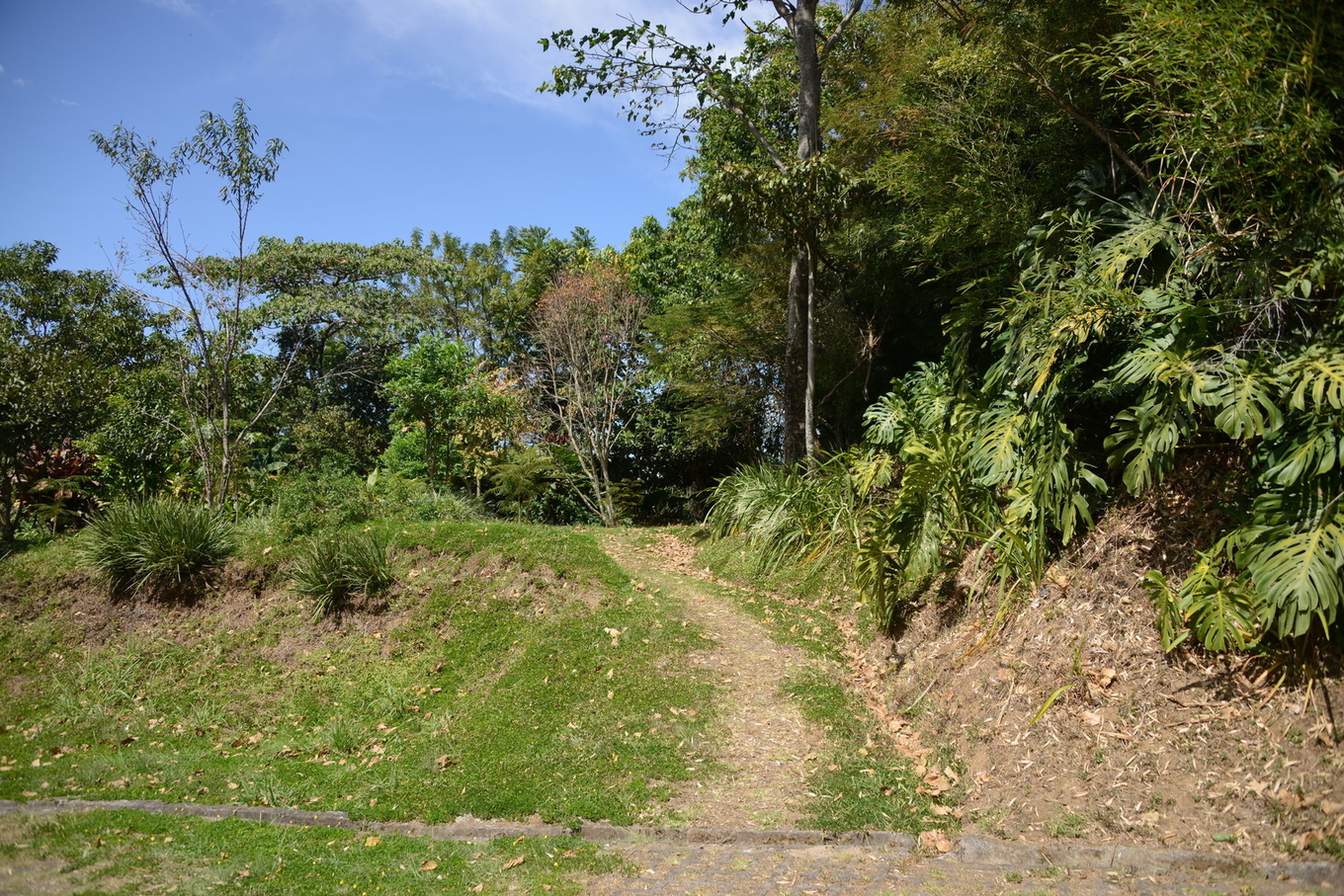 Parque temático Finca 4 UCR