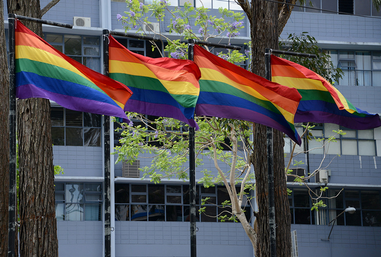 La UCR enarbola en su campus Rodrigo Facio banderas con mensajes que reiteran su compromiso con …