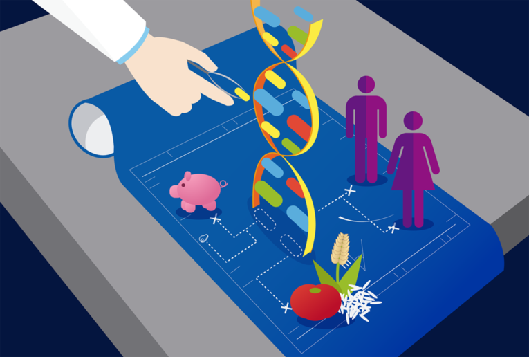 La modificación de genes con la técnica CRISPR/Cas9 que permite “editar” el genoma de cualquier …