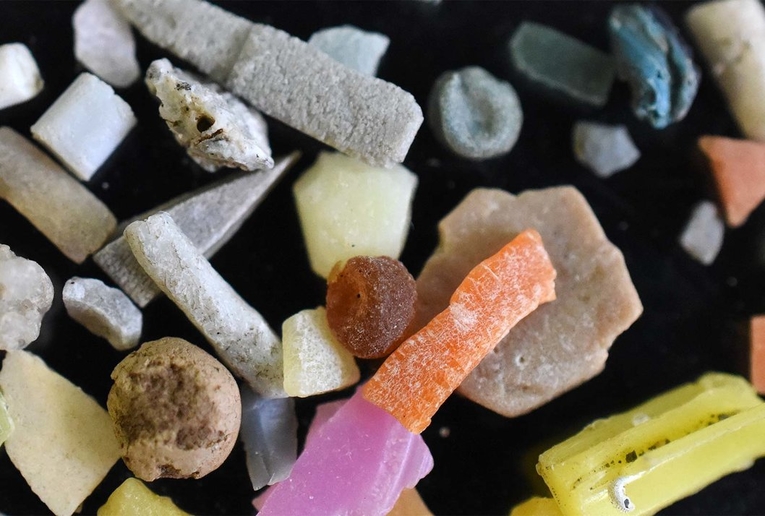 Los microplásticos identificados en varias playas de Costa Rica tienen diferentes tamaños, formas …
