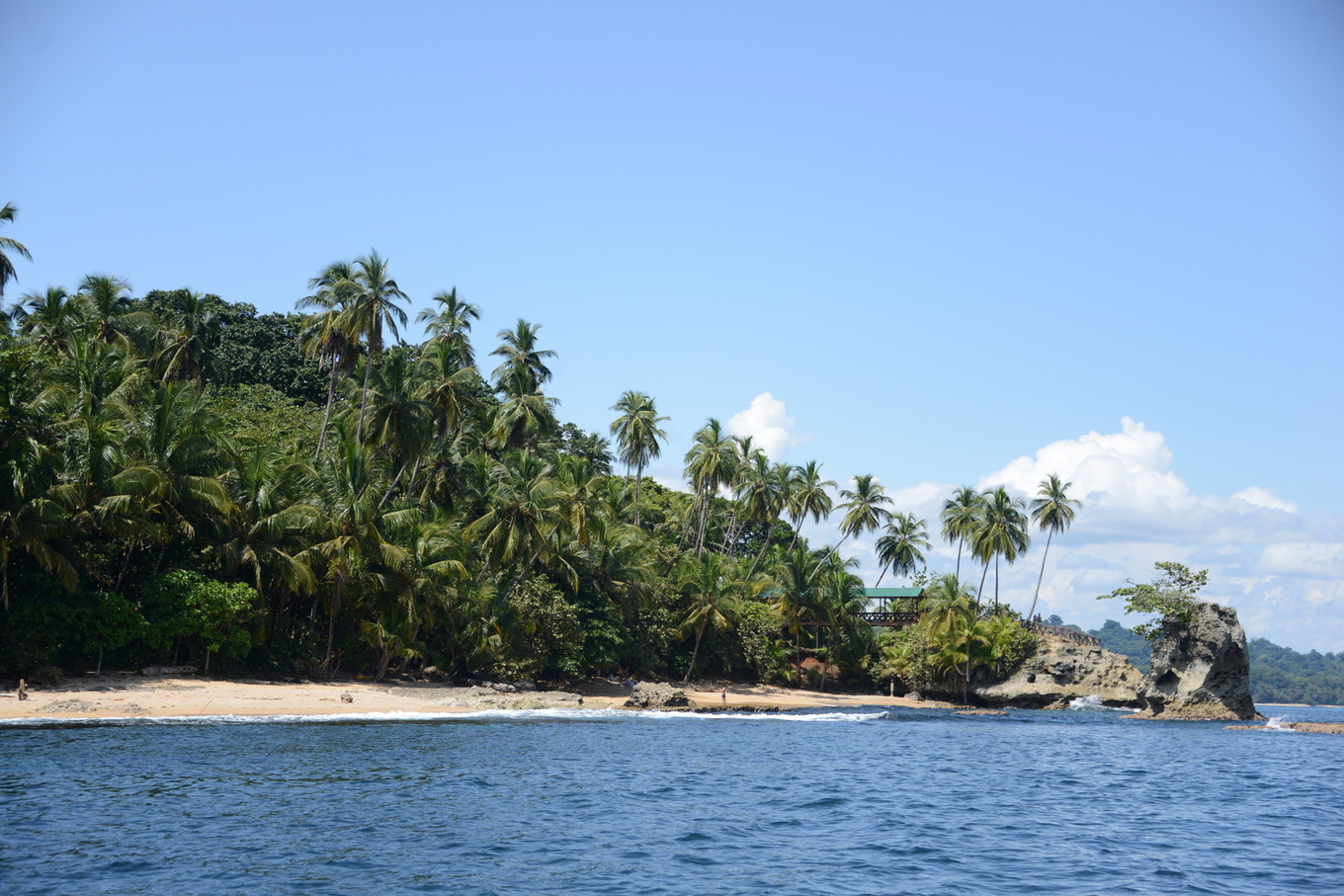 El Caribe sur de Costa Rica es una región que sobresale por sus riquezas naturales, su paisaje y …