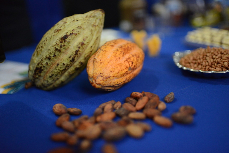 cacao