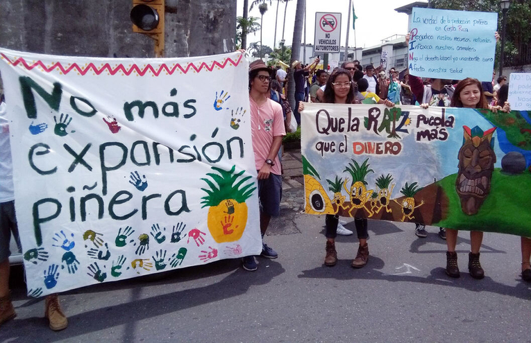  Foto de una manifestación contra la expansión de la piña en Costa Rica (frente a la Asamblea …