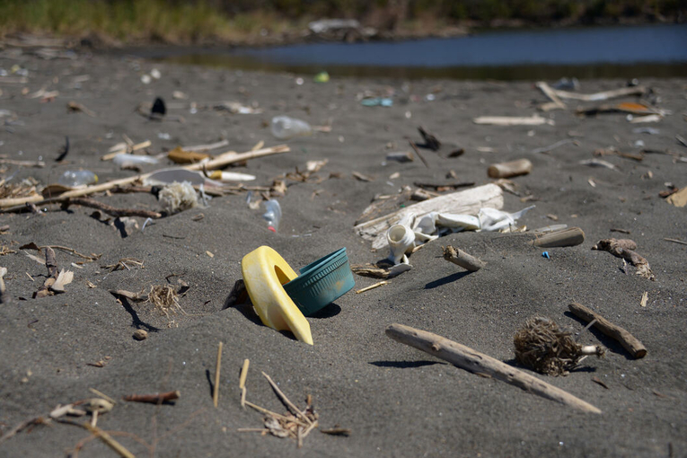 Actualmente, el mundo desecha en los océanos cerca de once millones de toneladas de plástico …