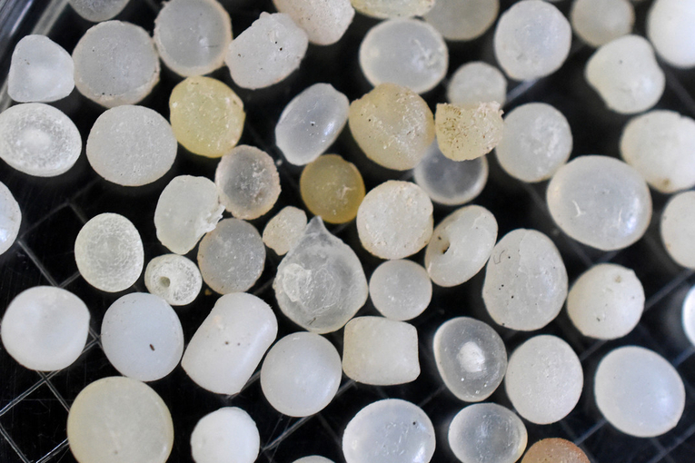 Los pellets son bolitas de plástico menores o iguales a 5 milímetros que se usan para la …