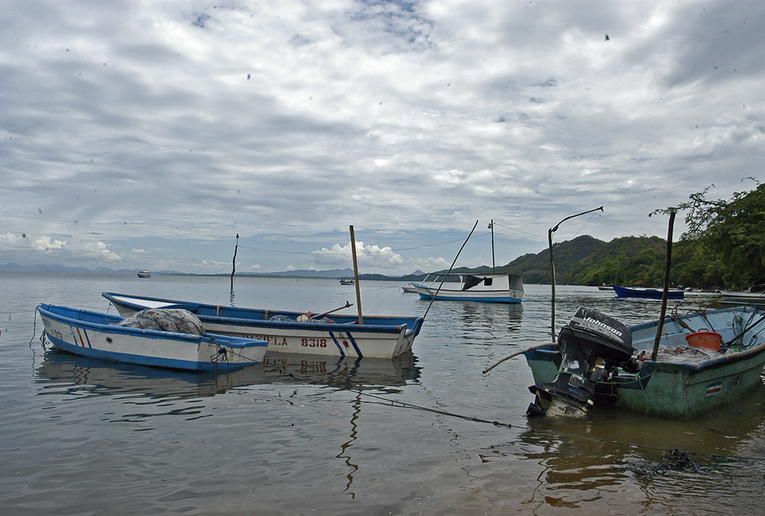 Lanchas en la costa