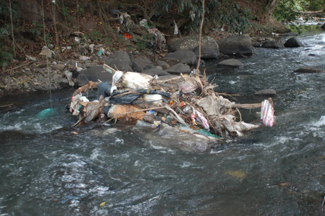 contaminación en los ríos