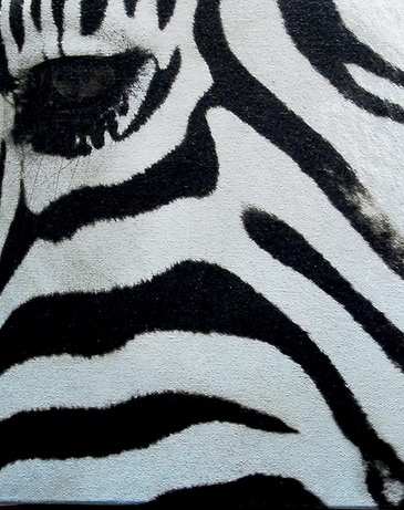 Exposición Africa