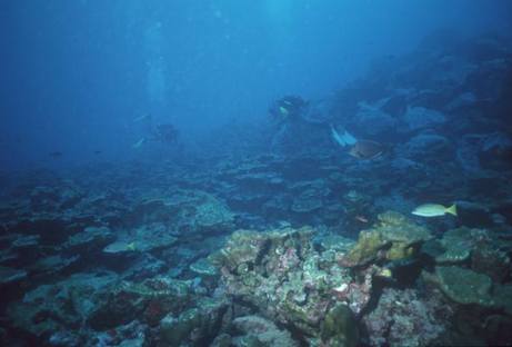 Isla del Coco