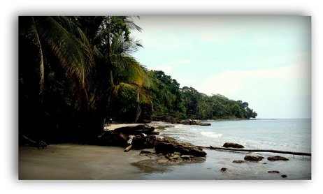 El Refugio Natural de Vida Silvestre Gandoca-Manzanillo tiene uno de los paisajes litorales más …