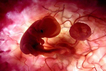 La fertilización in vitro es uno de los temas bioéticos de mayor discusión.  En diciembre …