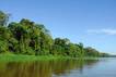 Tortuguero
