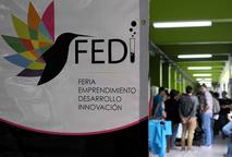 FEDI