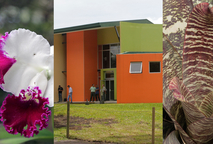 El Jardín Botánico Lankester de la Universidad de Costa Rica, ubicado carretera a Paraíso de …