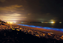 Un evento de bioluminiscencia azul en Playa del Carmen, Puntarenas. (foto Edward Parra Salazar)