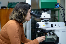 El trabajo con avispas, realizado por la bióloga e investigadora Rebeca Mora Castro, utiliza …