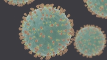 El coronavirus COVID-19 ha sido identificado como una enfermedad infecciosa que provoca problemas …