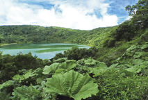 Laguna Botos, en el corazón del Parque Nacional Volcán Poás, en la provincia de Alajuela. Foto: …