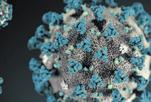 Coronavirus. Imagen de uso libre facilitada por The Associated Press (AP).