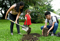 Siembra de árbol