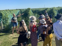 Visita al Soldier Creek Winery donde los y las estudiantes aprendieron sobre la producción de uva …