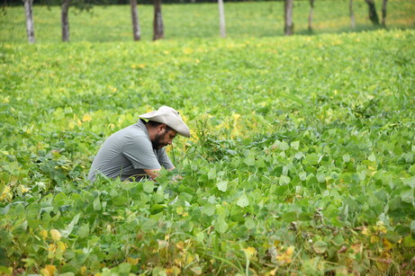 Agro el sector que más creció en positivismo para el cuarto trimestre 2023