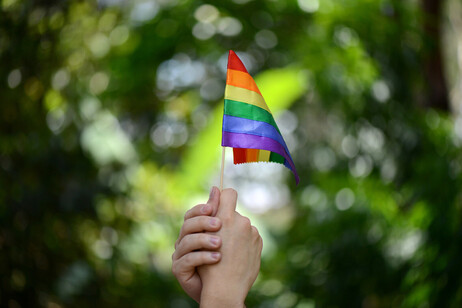 Dos manos sostienen una bandera pequeña del movimiento LGBTIQ+