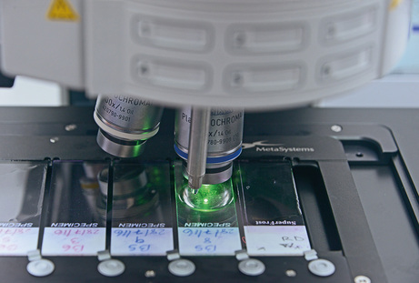 Dosimetría biológica