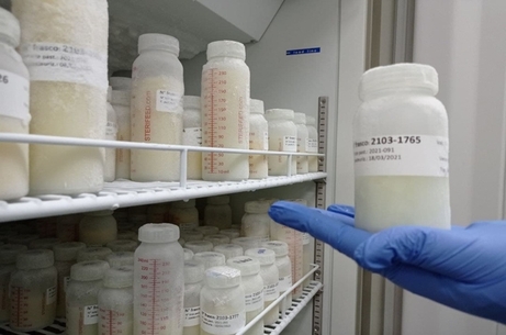 Leche humana congelada