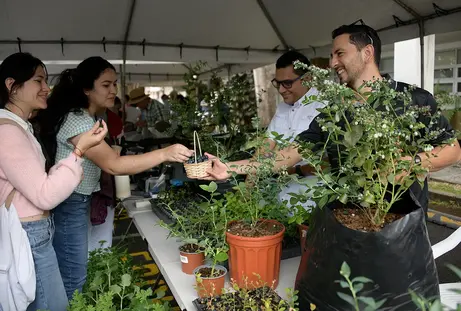 Personas en feria del agricultor
