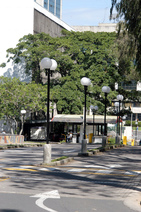 Boulevard de la Facultad de Derecho