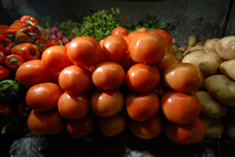 Foto tomates