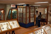 Museo de insectos